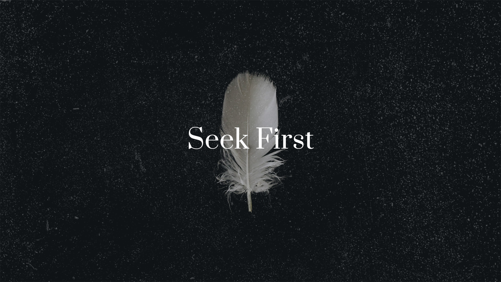 Seek First