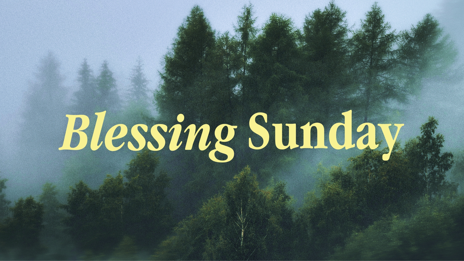 Blessing Sunday