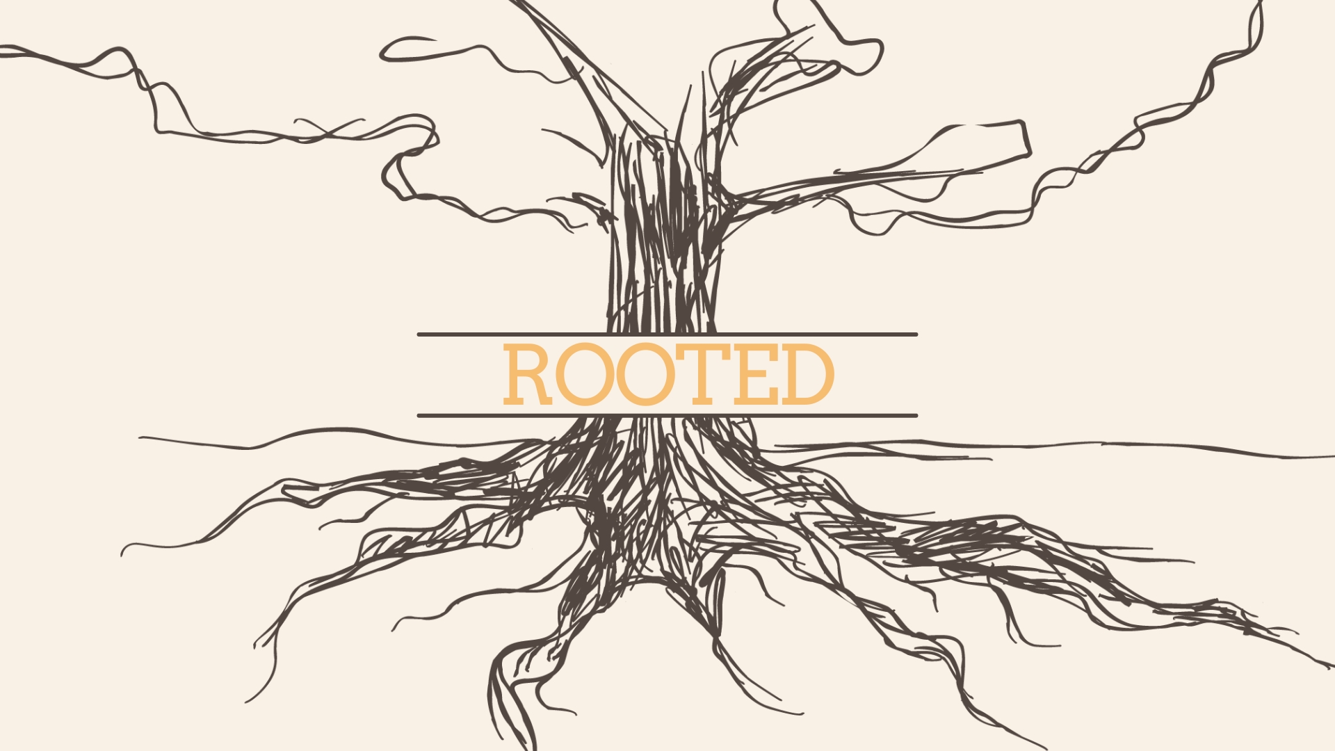 Rooted Series