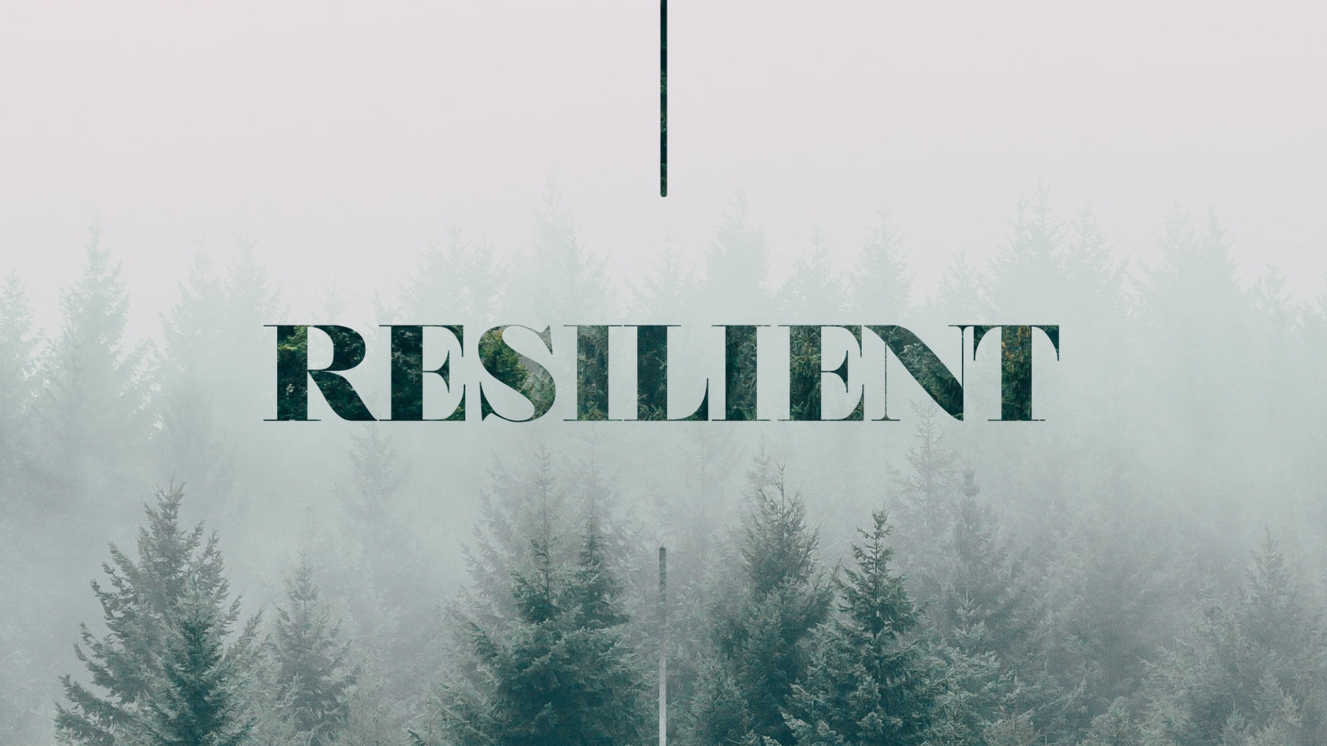 Resilient