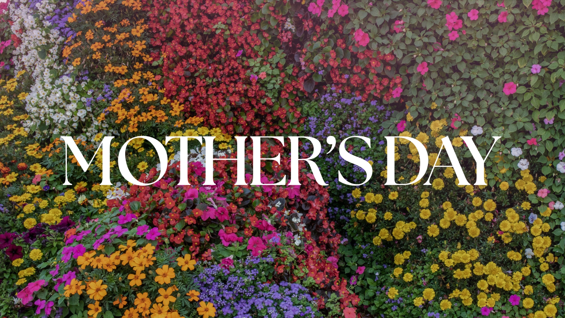 Mothers STND