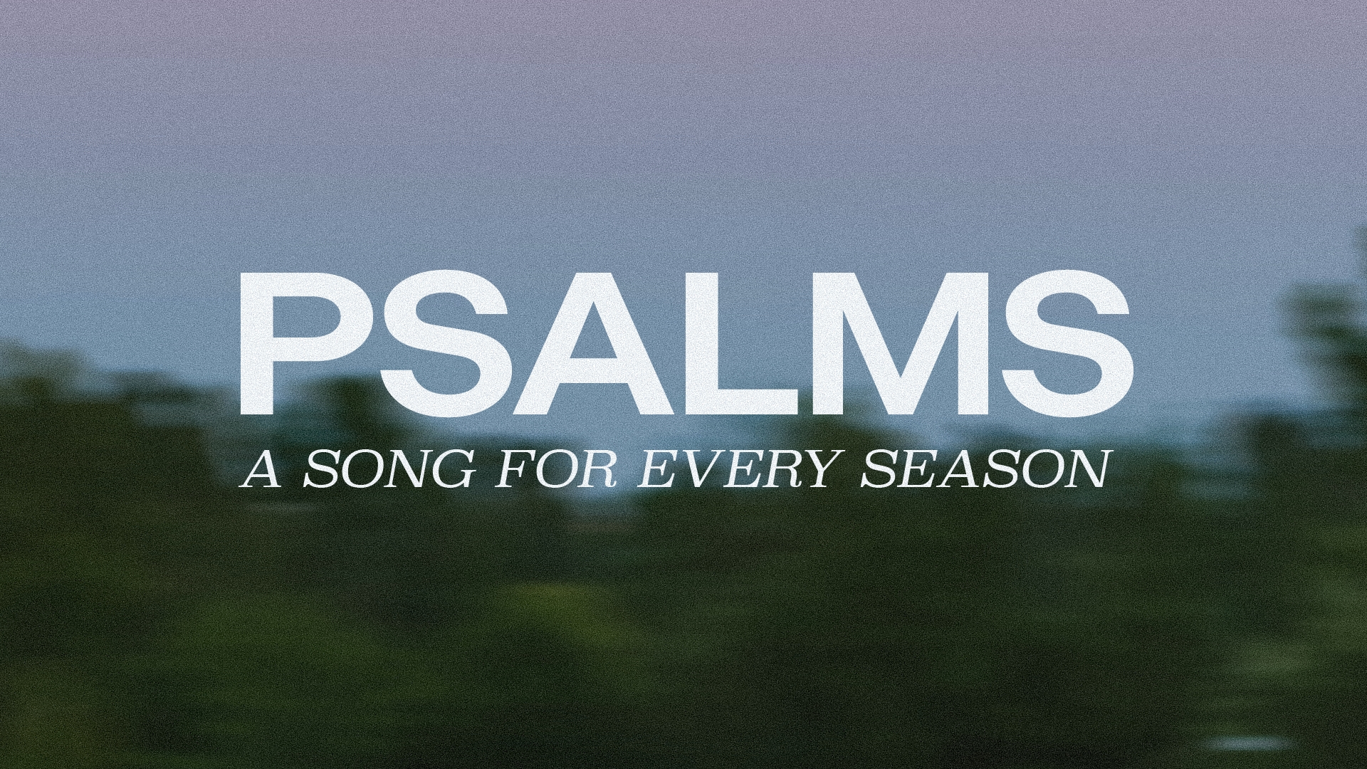 Psalms STND